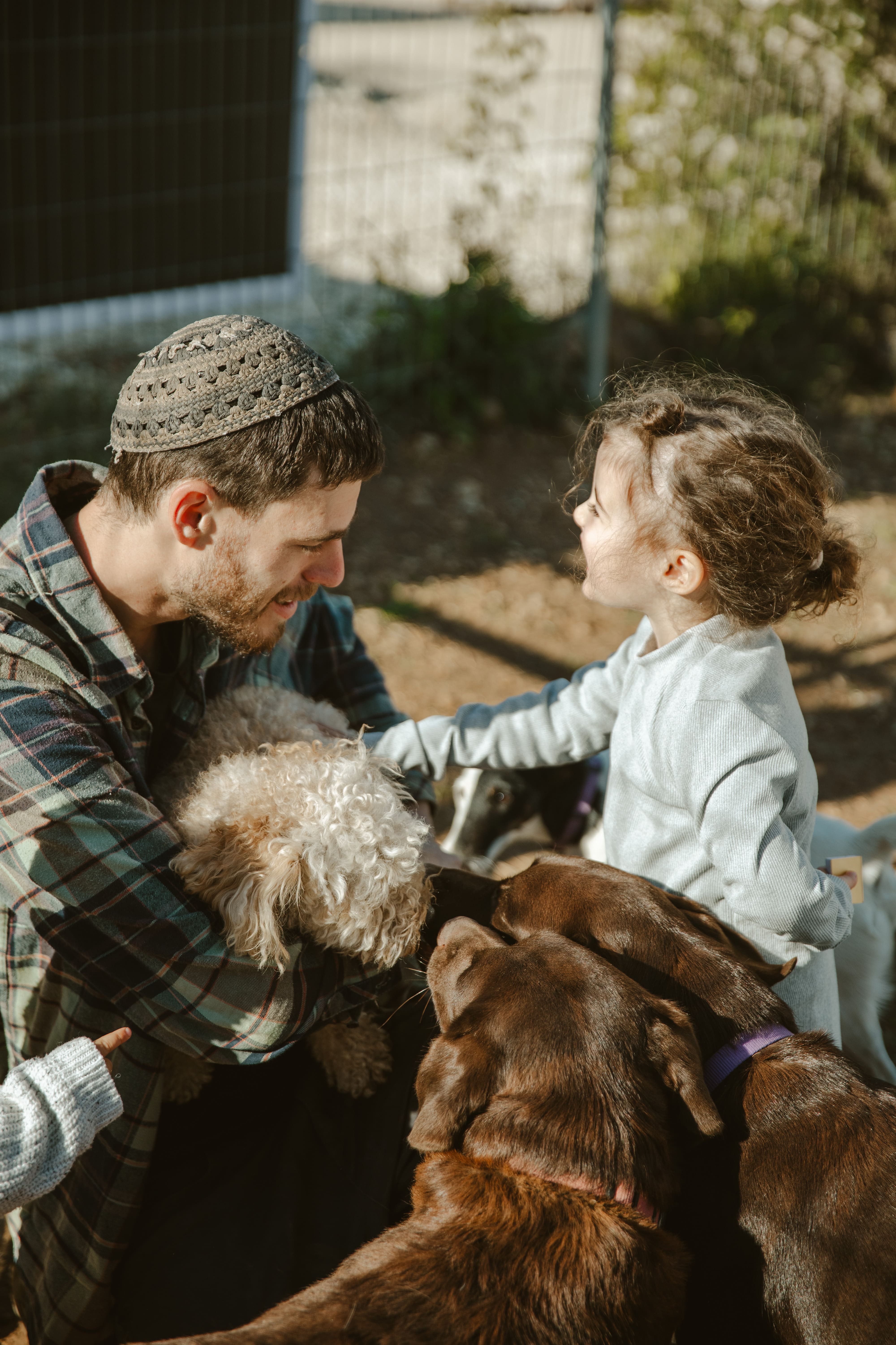 ילד יושב עם כלב בטיפול רגשי