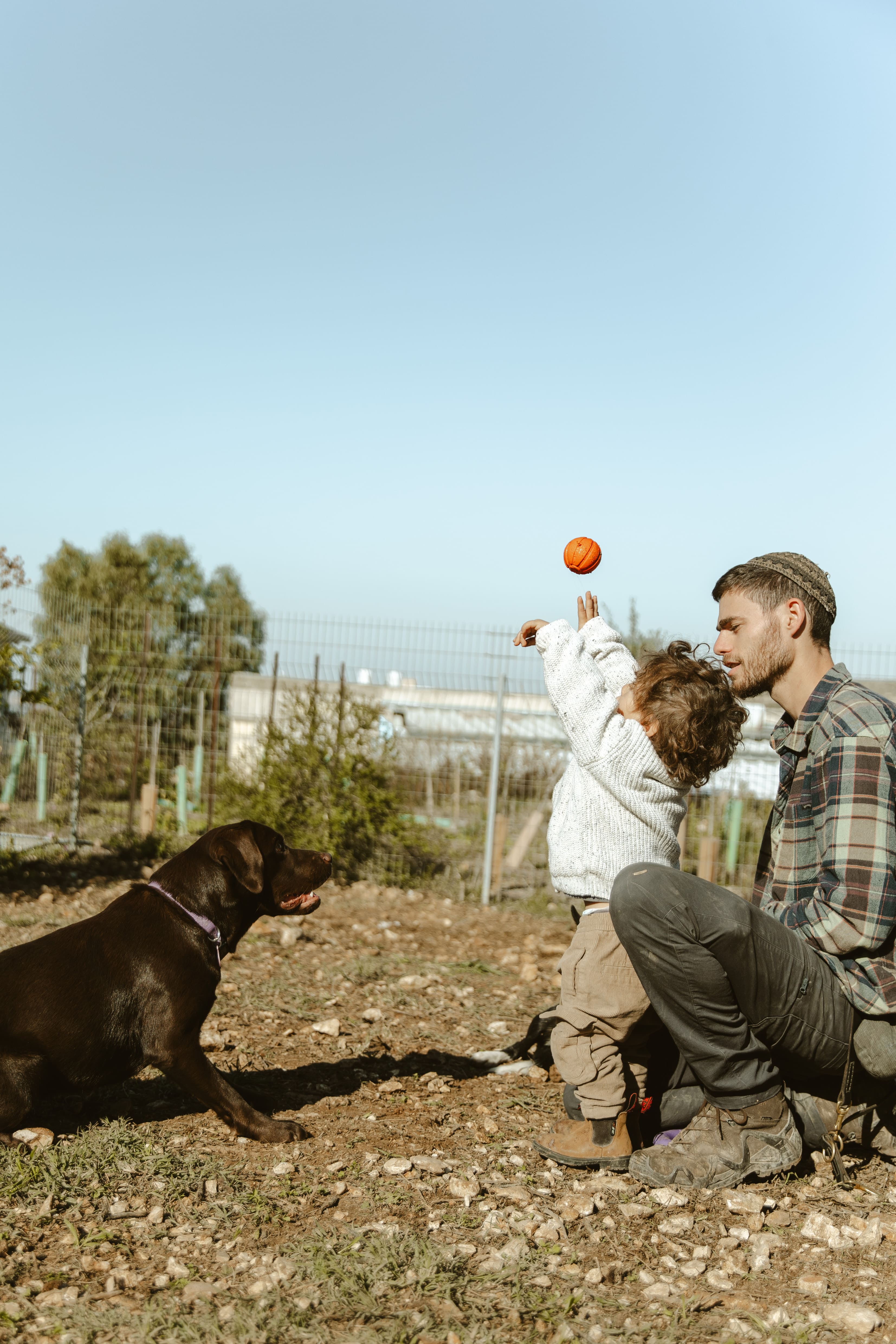 ילד משחק עם כלב