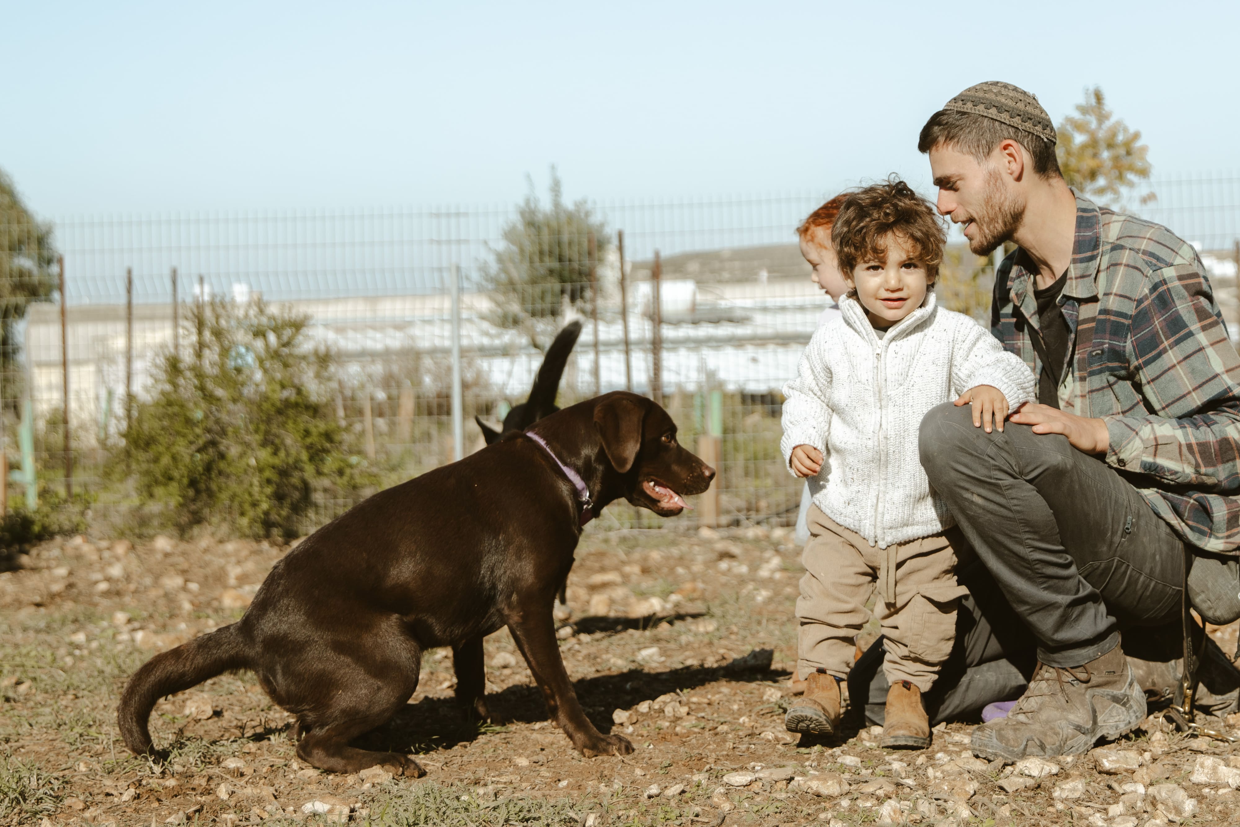 ילד וכלב עם אבי